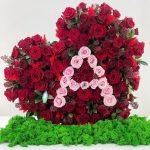 The charm of red and pink blooms 23 red and pink blooms