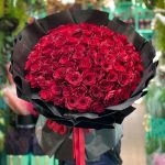 Red Hot Roses